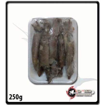 Bait Loligos Small - Plastic Bag |250g