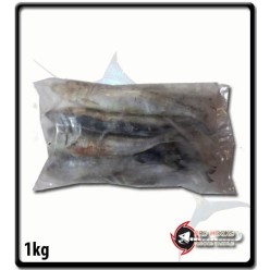 Pilchard Bait - Plastic Bag |1kg