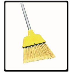 Indoor and Outdoor Broom 