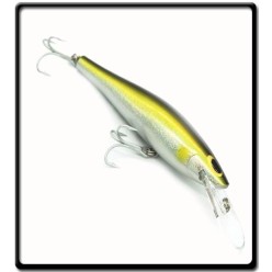 Lure Speed Pro 160 - AYU| Williamson