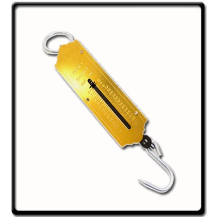 50kg Hanging Scale