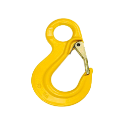 22mm - Chain Sling Hook - Eye Type - G80 | Giant