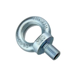 22mm - Eye Bolts - Drop Forged - DIN580 | 1.50T