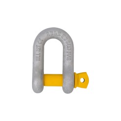 6.5 T | Dee - Shackle Screw Pin | 22mm -7/8''