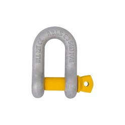8.5 T | Dee - Shackle Screw Pin | 25mm -1''